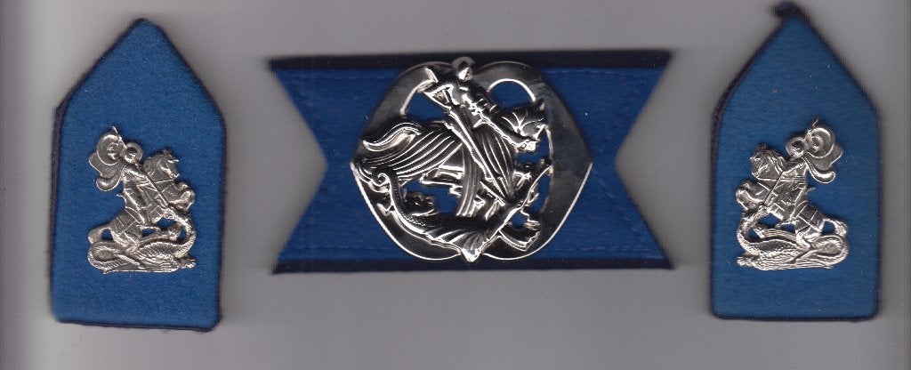 baretembleem en set kraagpatten Huzaren van Boreel, Verzamelen, Ophalen of Verzenden, Landmacht, Nederland, Embleem of Badge