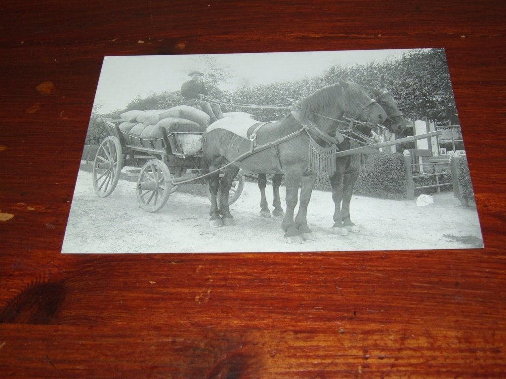 Reproductie ansichtkaart: Paard en wagen met zakken, Verzenden, 1980 tot heden, Ongelopen, Paard