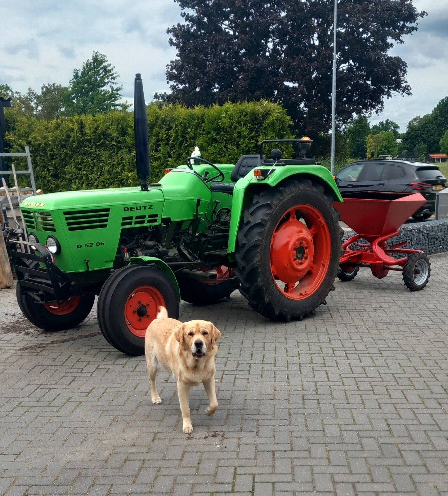 Deutz D 52 06 Tractor met kunstmeststrooier, Ophalen of Verzenden, Gebruikt, Tot 80 Pk, Deutz - Fahr