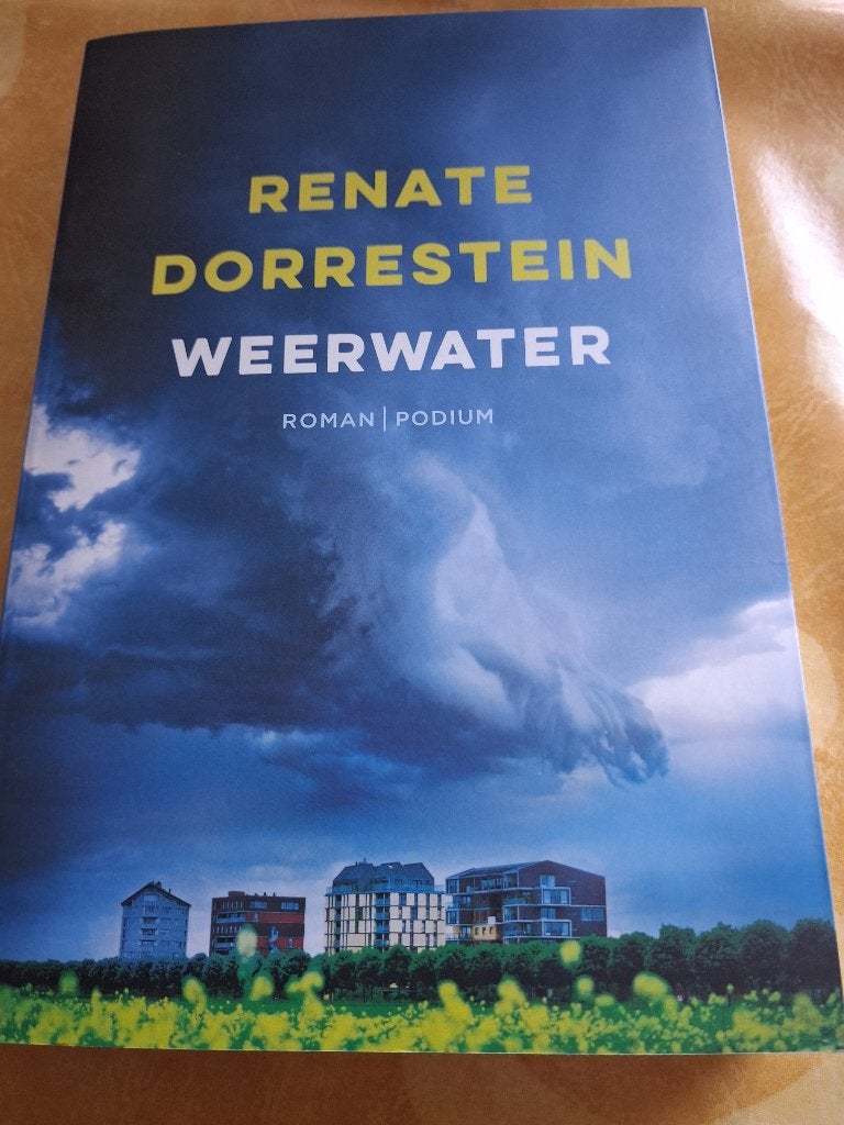 Weerwater - Renate Dorrestein, Ophalen of Verzenden, Zo goed als nieuw, Renate Dorrestein