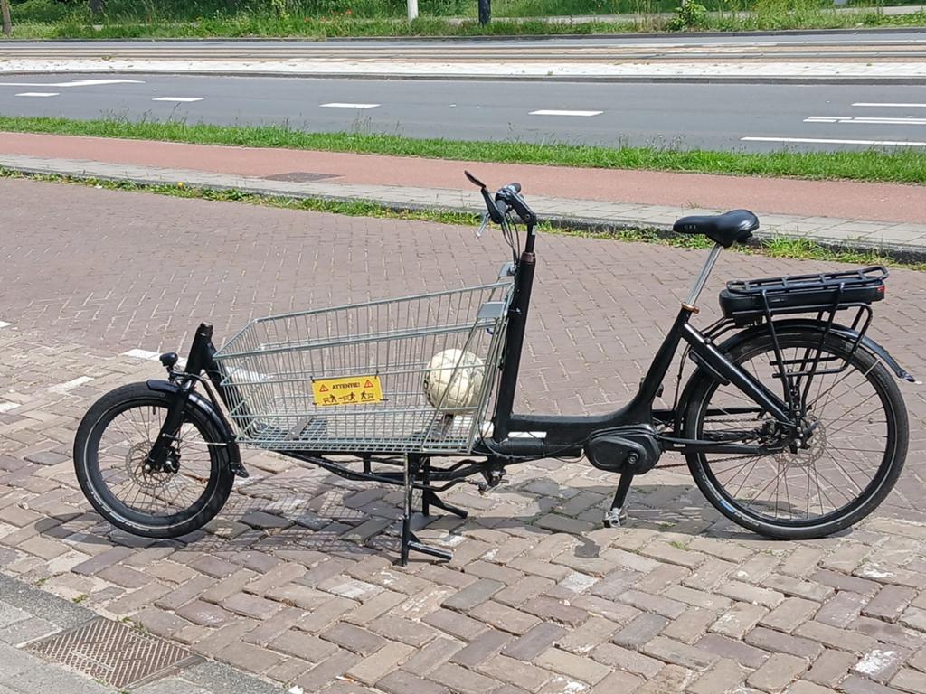 Elektrische Bakfiets met winkelkarretje, Gebruikt, 50 km per accu of meer, 55 tot 59 cm, Ophalen