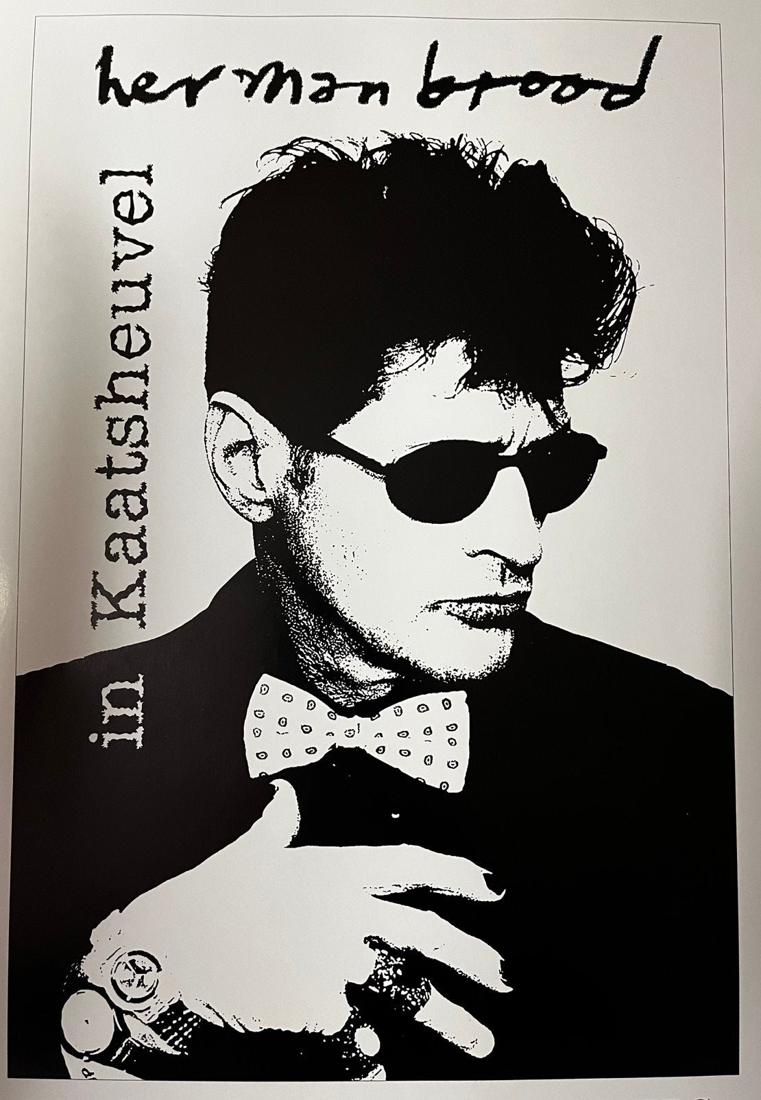 Herman Brood in Kaatsheuvel collectorsitem, Ophalen of Verzenden