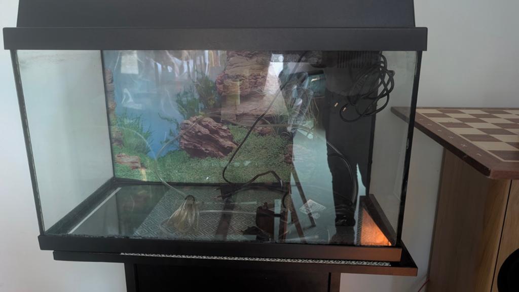 Leuk aquarium alle toebehoren, Ophalen, Zo goed als nieuw, Gevuld zoetwateraquarium