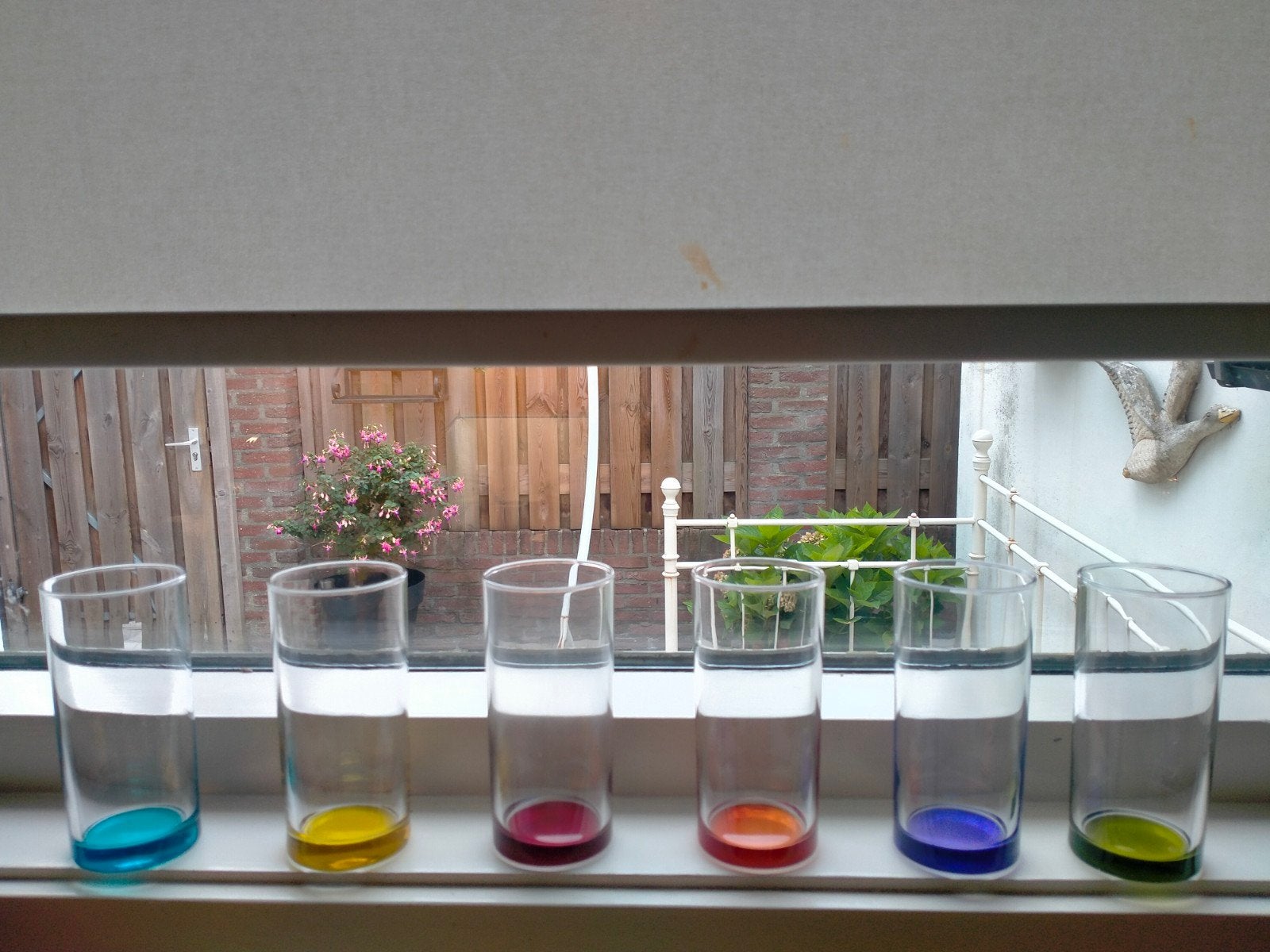Leuke limonade glazen, Dieren en Toebehoren, Vogels | Kanaries, Geslacht onbekend, Kleurkanarie