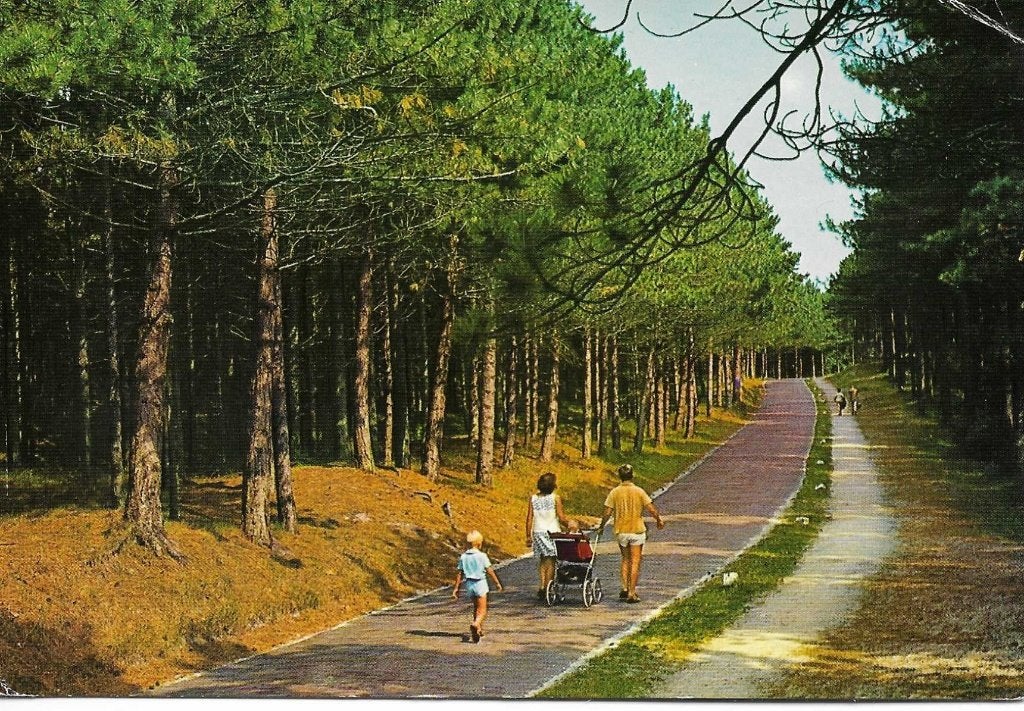 Texel- -Wandeling., Ophalen of Verzenden, 1960 tot 1980, Gelopen, Waddeneilanden