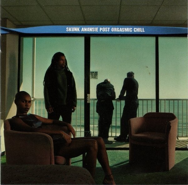 Skunk Anansie, Cd's en Dvd's, Cd's | Rock, Gebruikt, Ophalen of Verzenden