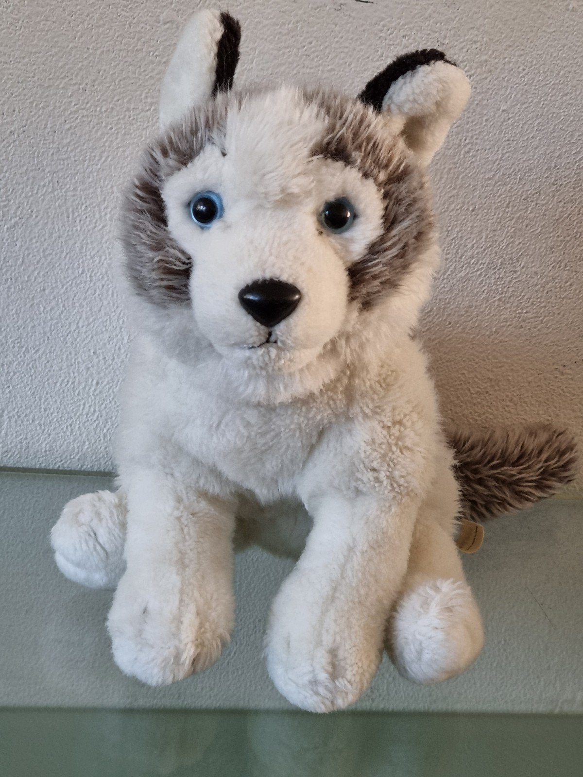 Orig,Wwf/BonTonToys, HUSKY KNUFFEL,L40/H23cm,Label,Izgst!, Overige merken, Overige karakters, Middelgroot (20 tot 80 cm), Hond