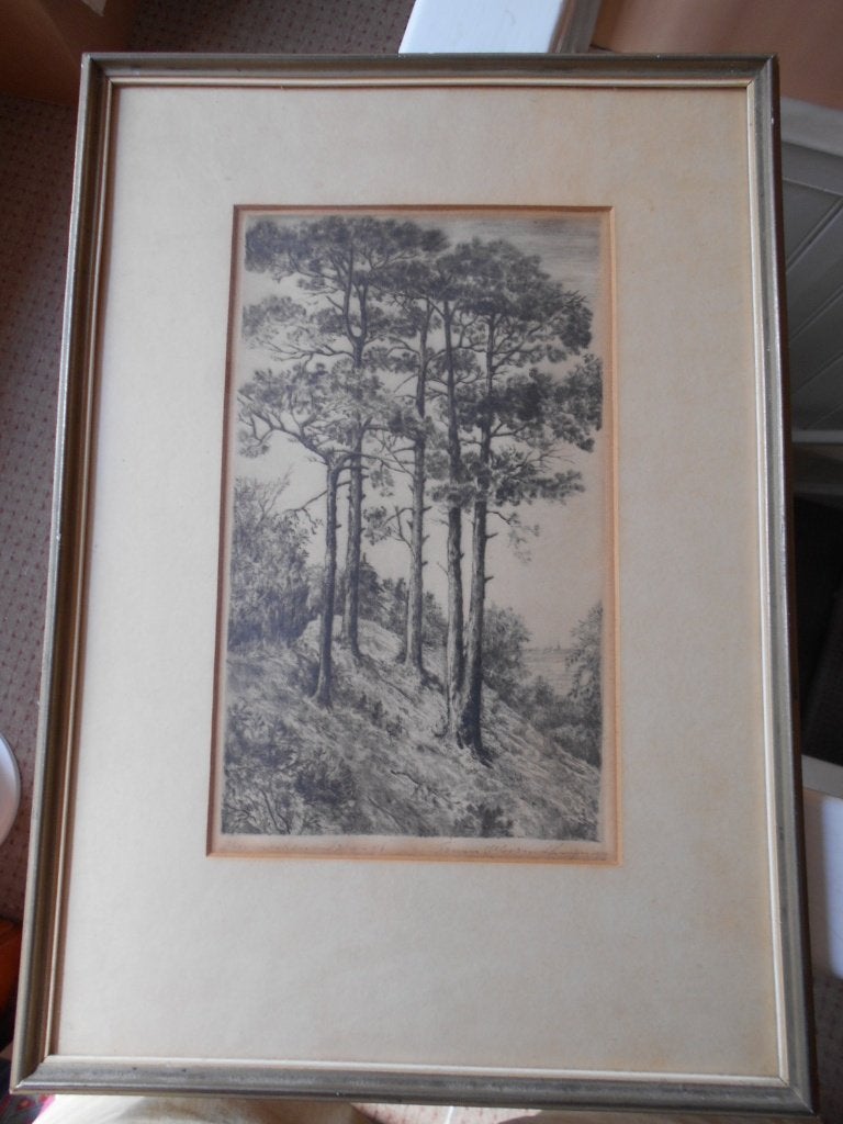 Ets 1946 Frans IJserinkhuijsen (1892-1959) Dennenheuvel, Ophalen