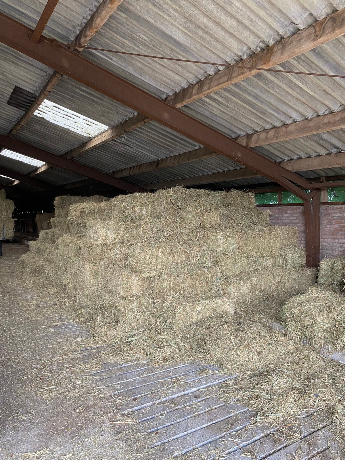 Kleine hooipakjes te koop, Dieren en Toebehoren, Stalling en Weidegang