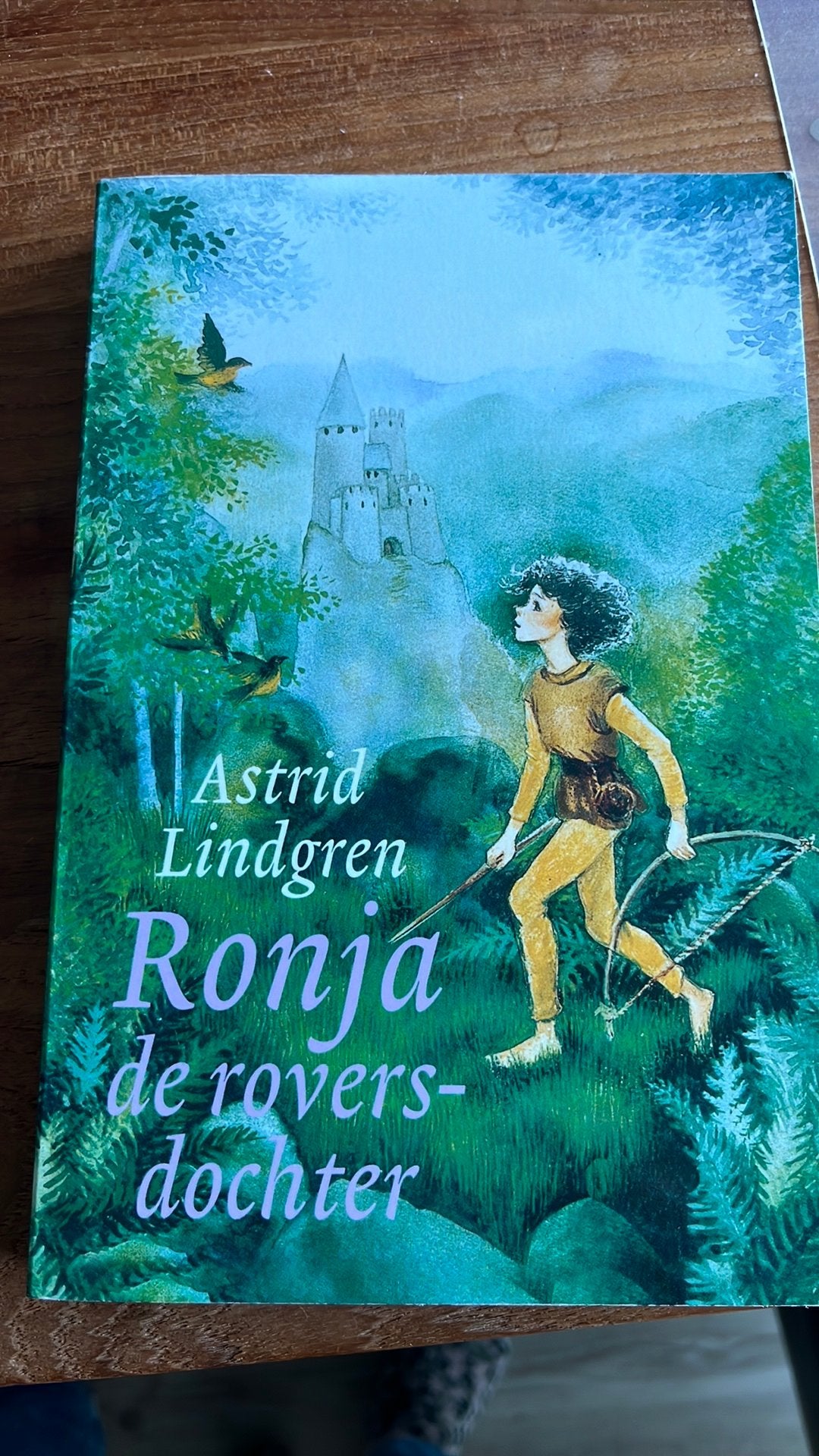 Kinderboek Astrid Lindgren Ronja de roversdochter, Ophalen, Zo goed als nieuw