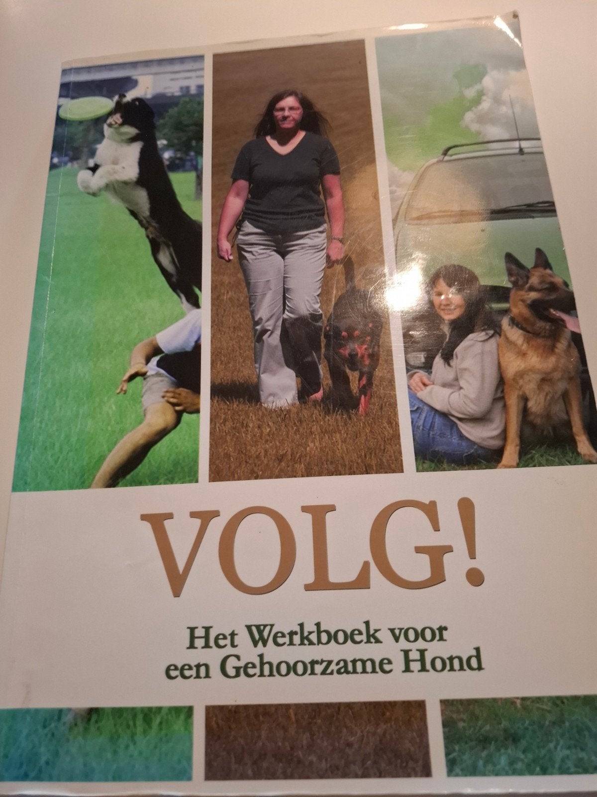 VOLG! Het Werkboek voor een Gehoorzame Hond, Ophalen of Verzenden