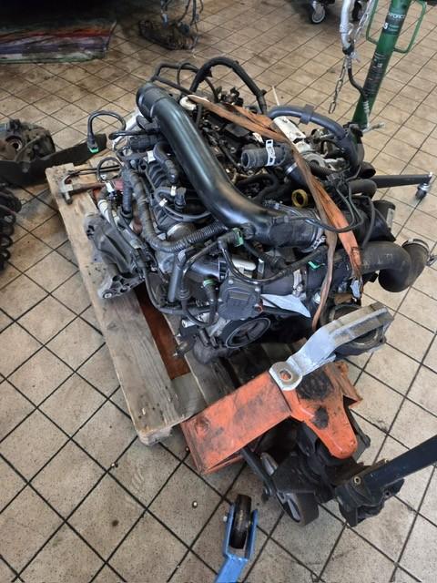 Te koop ford motor 1.0 titanium, Ophalen, Gebruikt, Ford