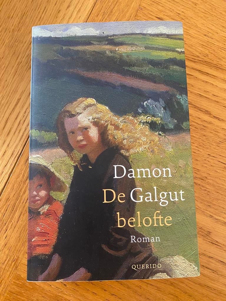Damon Galgut - De belofte, Ophalen of Verzenden, Zo goed als nieuw, Damon Galgut