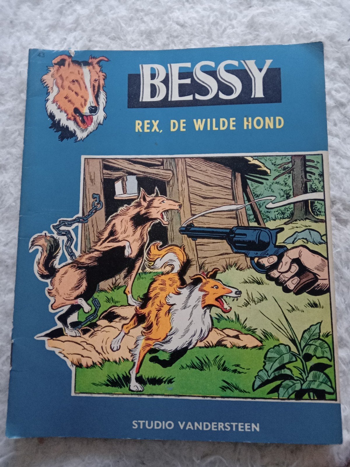 Bessy - Rex, de Wilde Hond (Studio Vandersteen), Eén stripboek, Ophalen of Verzenden, Gelezen, Studio Vandersteen