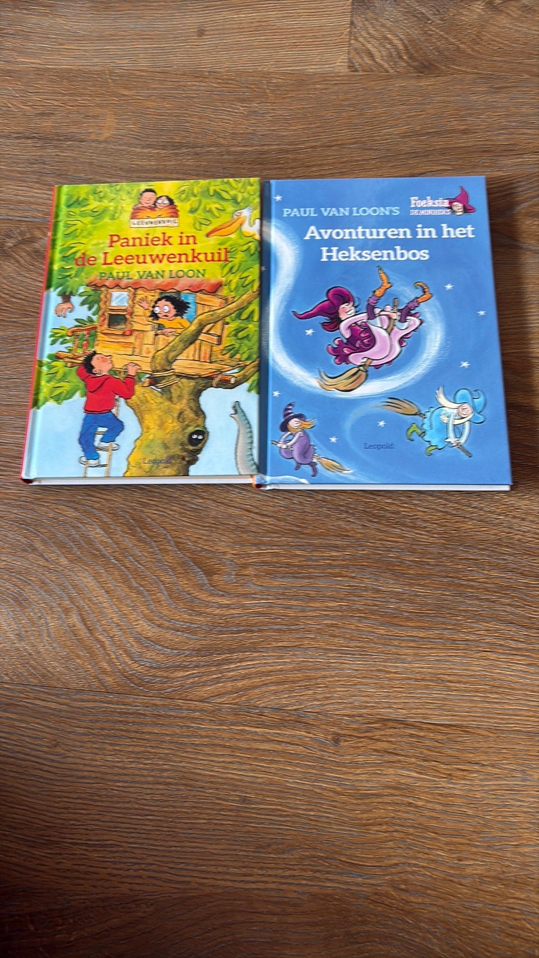 Leesboeken van Paul van Loon, Ophalen of Verzenden, Zo goed als nieuw, Fictie algemeen