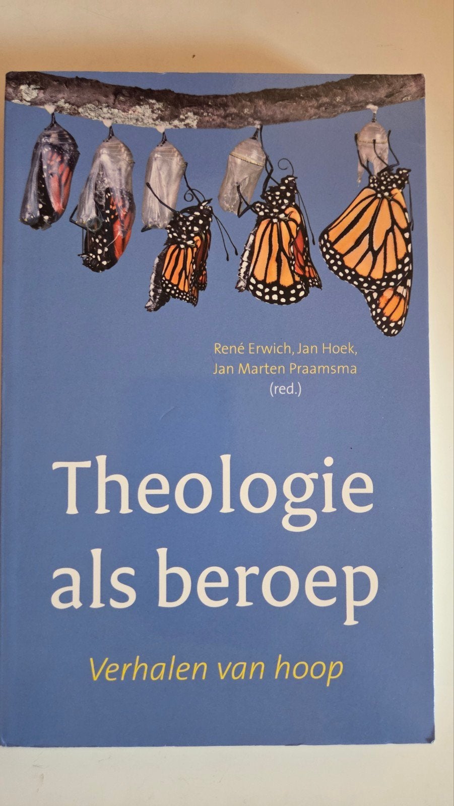 Theologie als beroep - Verhalen van hoop, Ophalen of Verzenden
