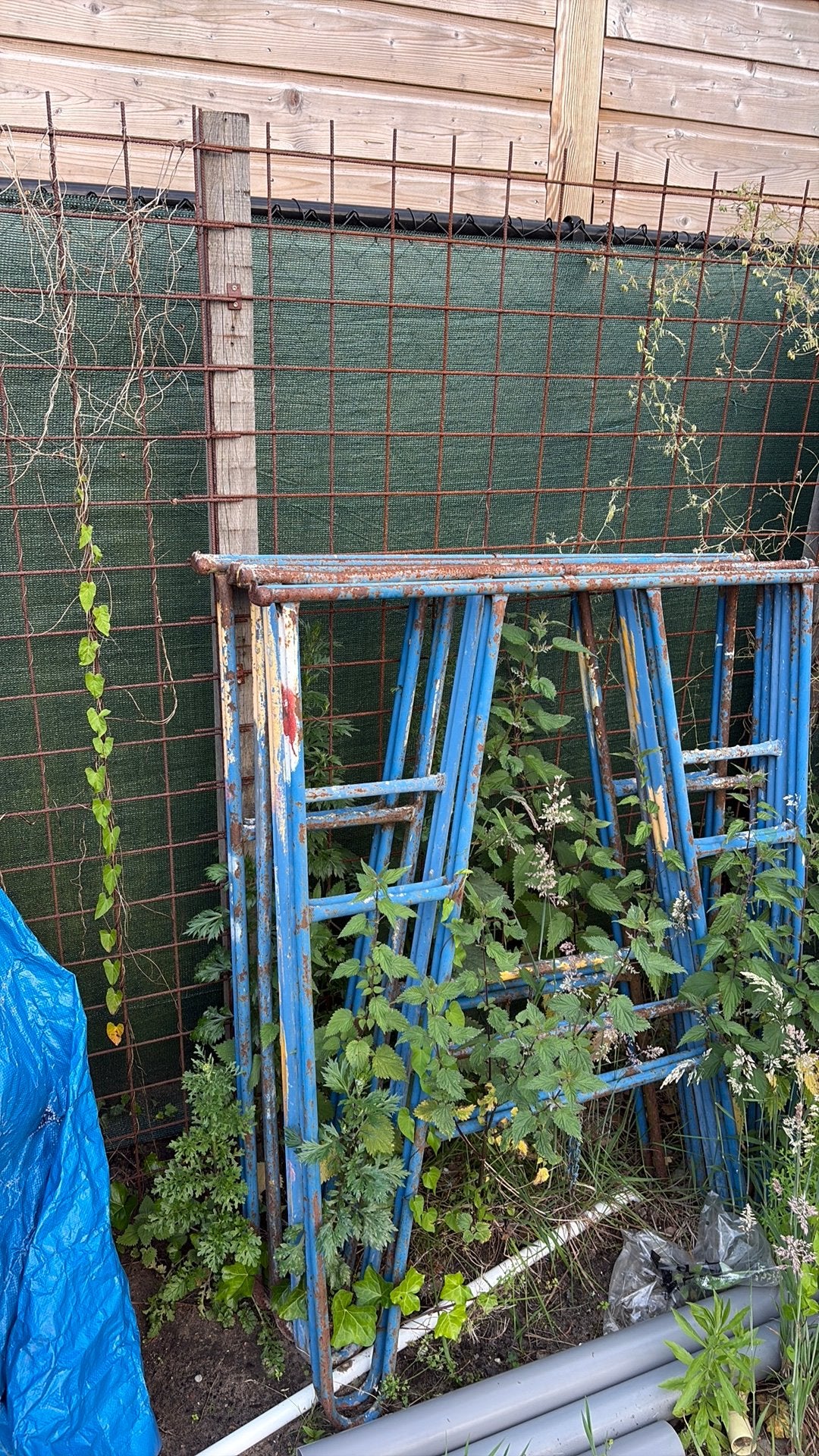 4 schragen 1,5 meter hoog, Ophalen, Gebruikt, Overige typen, Minder dan 2 meter