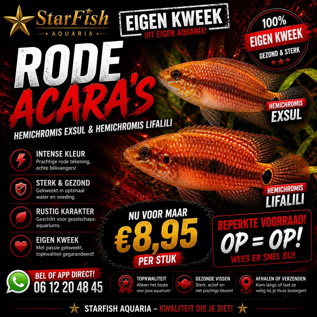 Rode Acara’s, Vis, Zoetwatervis