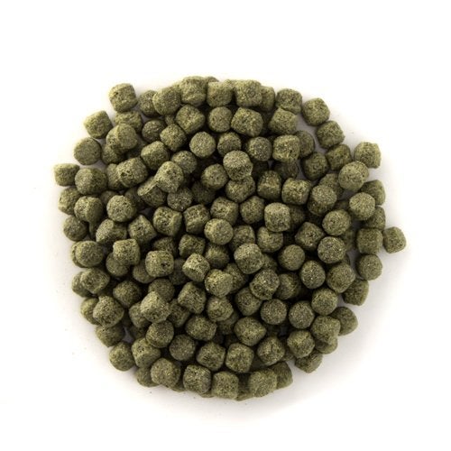 Staple 15kg - Kleurversterkend koivoer, Ophalen of Verzenden, Vis