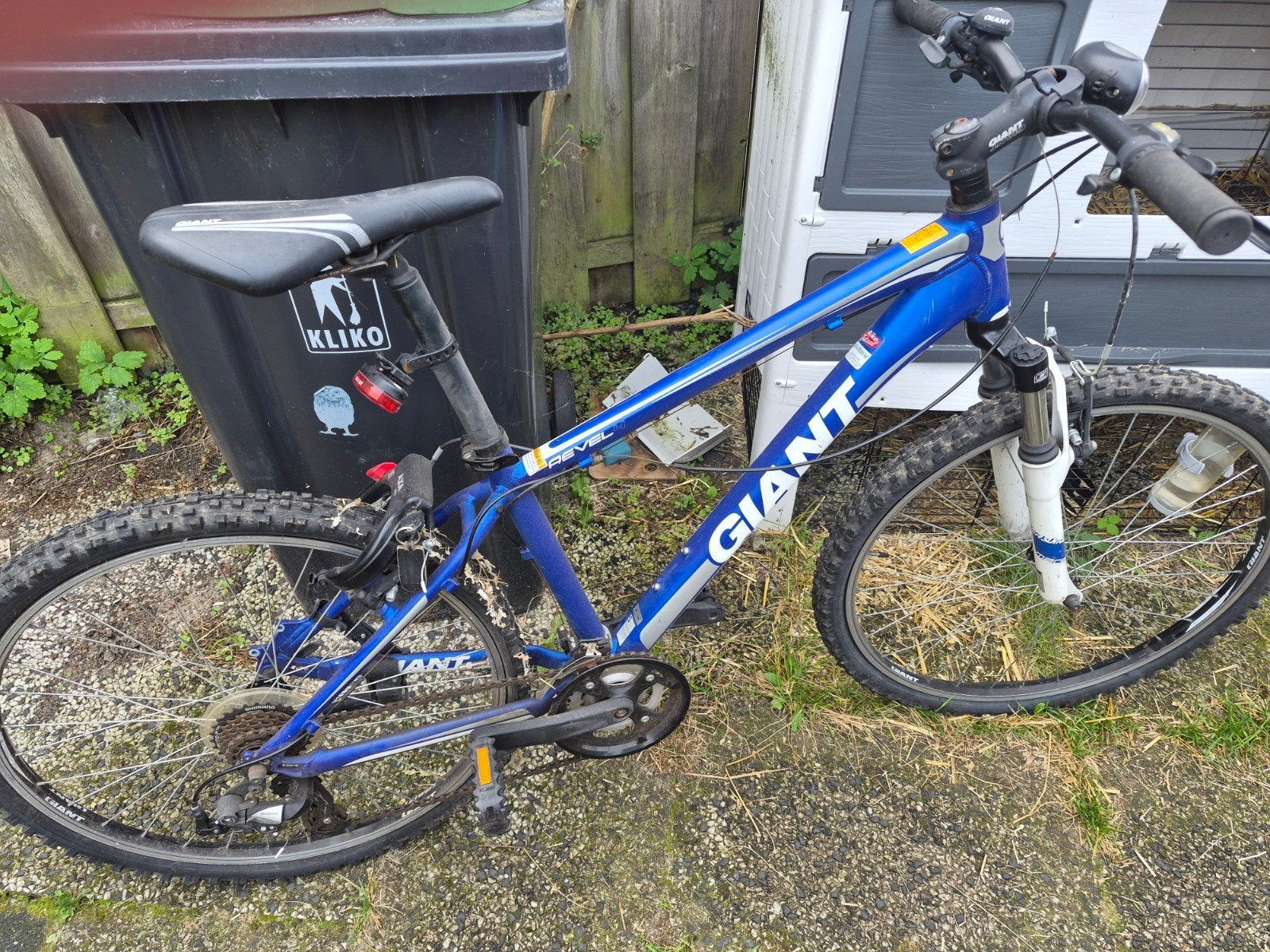 Mountainbike, Gebruikt, 49 tot 53 cm, Dames, Ophalen