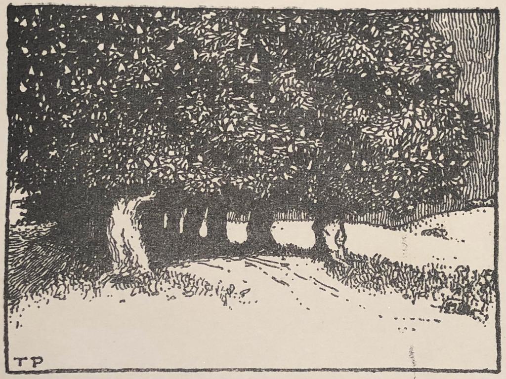 Mooie kunst bij het Grafiekkabinet Th. Peters, Antiek en Kunst, Ophalen of Verzenden