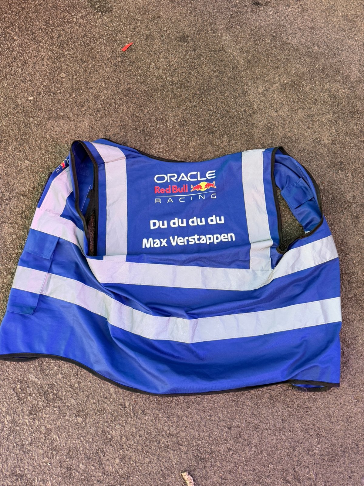 hesje van Redbull. Achterkant “ DU DU DU DU MAX VERSTAPPEN”, Ophalen of Verzenden, Zo goed als nieuw