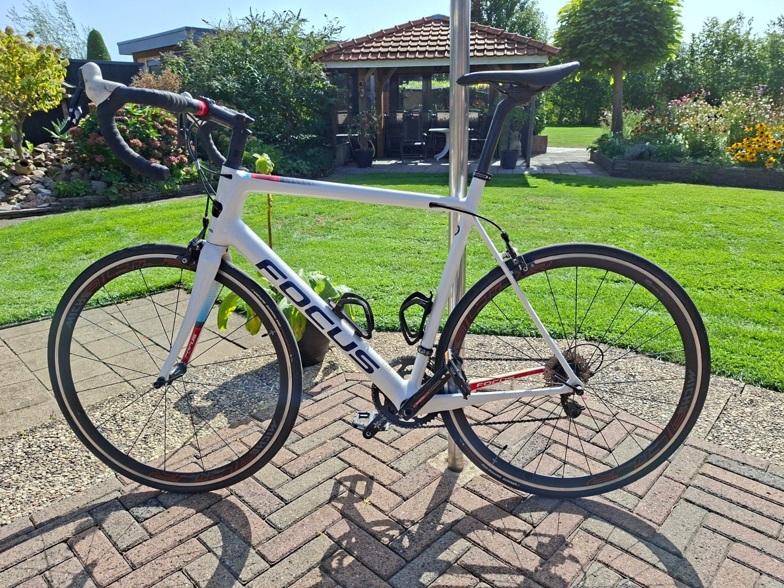 Focus Izalco Race racefiets - XL frame, Fietsen en Brommers, 28 inch, Carbon, Zo goed als nieuw, 15 tot 20 versnellingen
