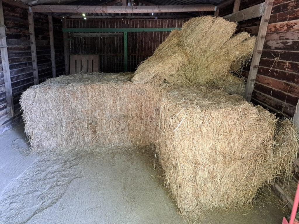Suikerarm paardenhooi, Dieren en Toebehoren, Dierenvoeding, Ophalen, Vee