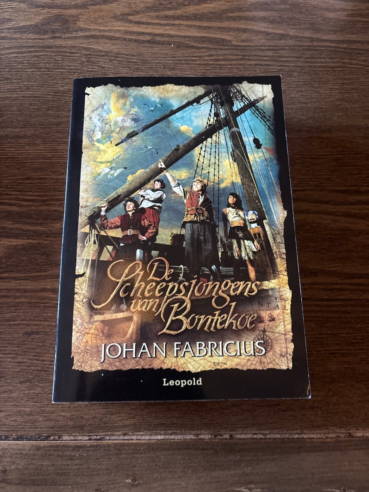 De Scheepsjongens van Bontekoe - Johan Fabricius, Ophalen of Verzenden, Gelezen, Nederland
