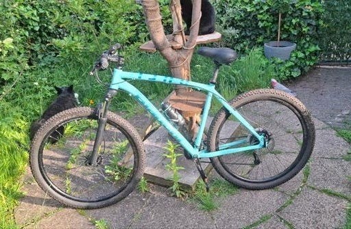 Zo goed als nieuw Bianchi Duel 29.S Mountainbike – Maat XL, Fietsen en Brommers, Fietsen | Mountainbikes en ATB, Zo goed als nieuw