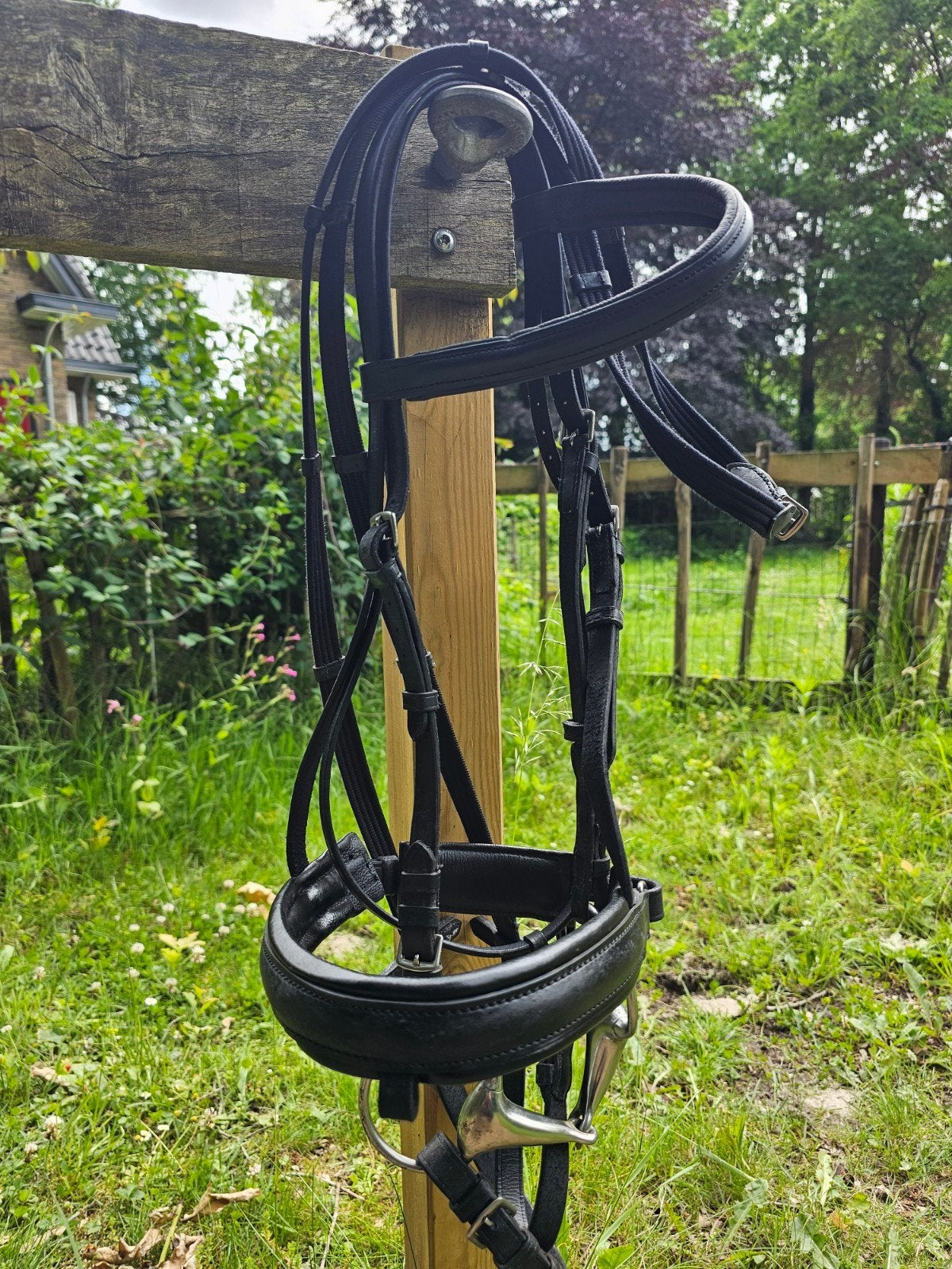 Zwart onderlegd hoofdstel met aansnoer neusriem full, Dieren en Toebehoren, Paarden en Pony's | Hoofdstellen en Tuigage, Ophalen of Verzenden