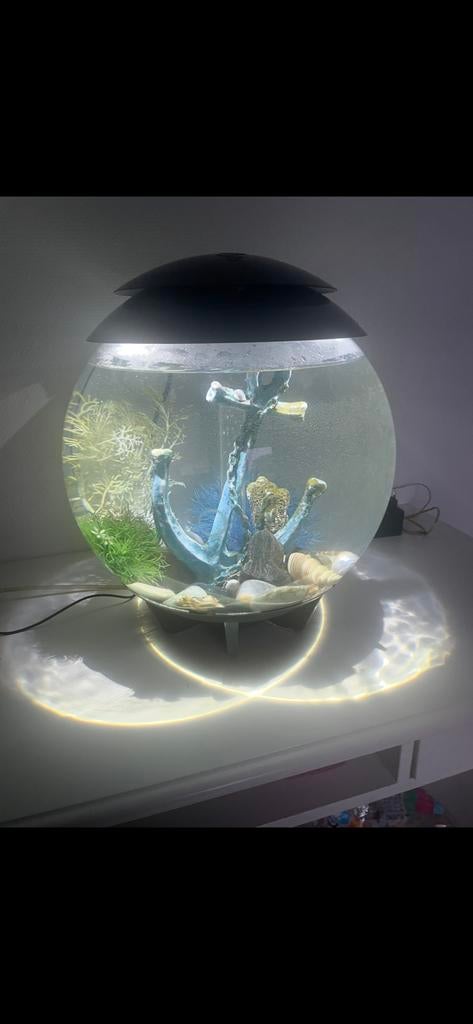 Te koop aquarium rond, Ophalen, Zo goed als nieuw, Leeg aquarium