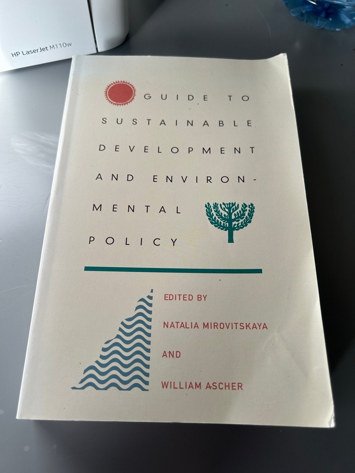 Guide to Sustainable Development and Environmental Policy, Ophalen of Verzenden, Gamma, Zo goed als nieuw, WO