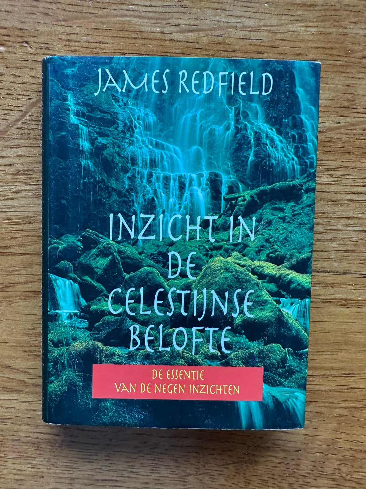 Inzicht in de Celestijnse Belofte - James Redfield, Ophalen of Verzenden, Gelezen, Spiritualiteit algemeen, Verhaal of Roman