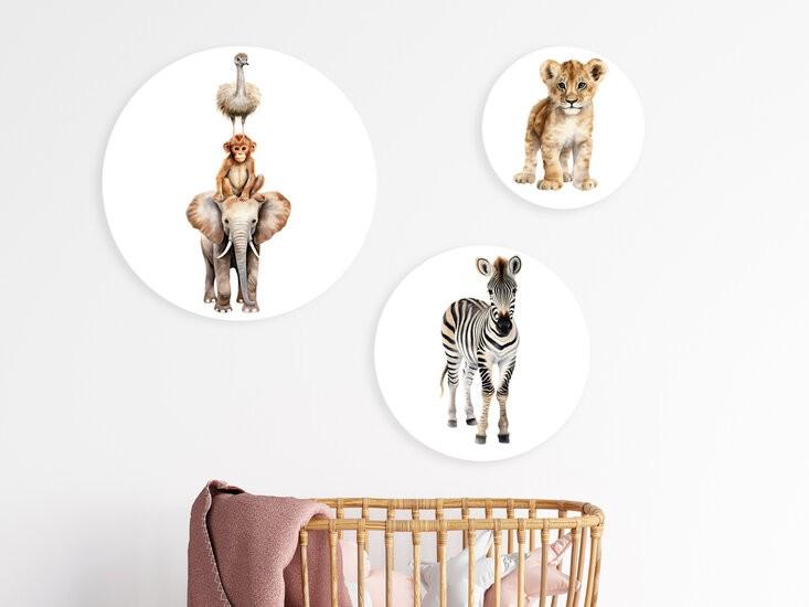 Set Muurcirkels Forex Safari Dieren Little Dreamzzz, Bi & Li Creaties, Nieuw, Ophalen of Verzenden, Bilicreaties@gmail.com