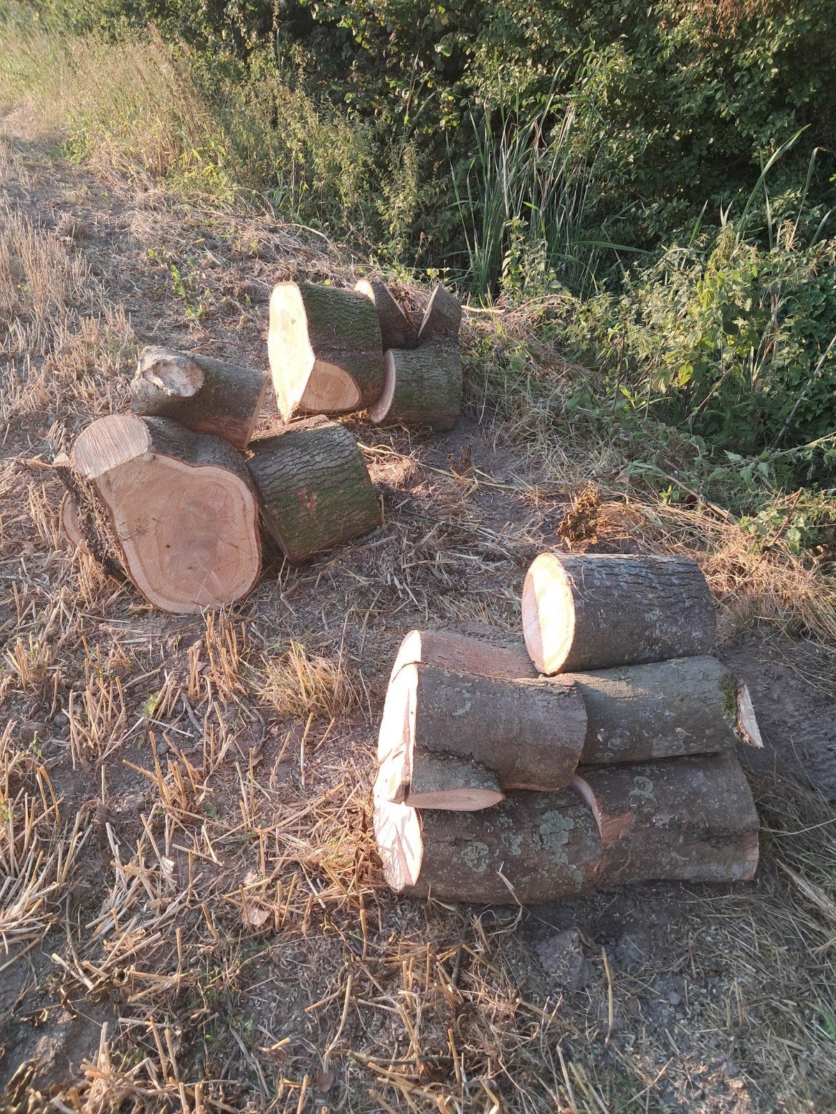 essen hout, Minder dan 3 m³, Ophalen, Essenhout, Stammen