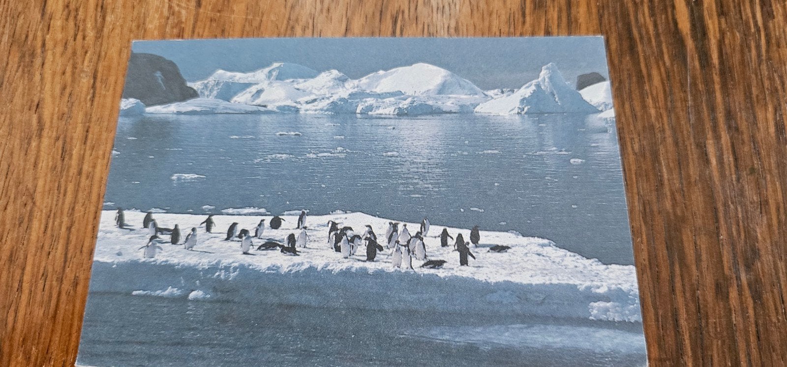 Ansichtkaart Franse Zuidelijke en Antarctische Gebieden, Verzamelen, Ansichtkaarten | Buitenland, Verzenden, Overig Europa