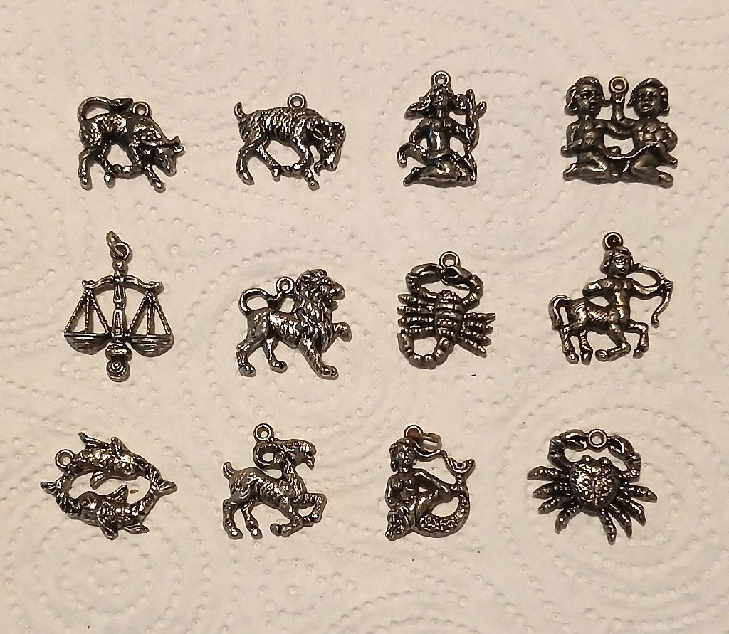 Sterrenbeelden/ horoscoop tekens: charms / hangers zie tekst, Verzenden, Nieuw, Hanger