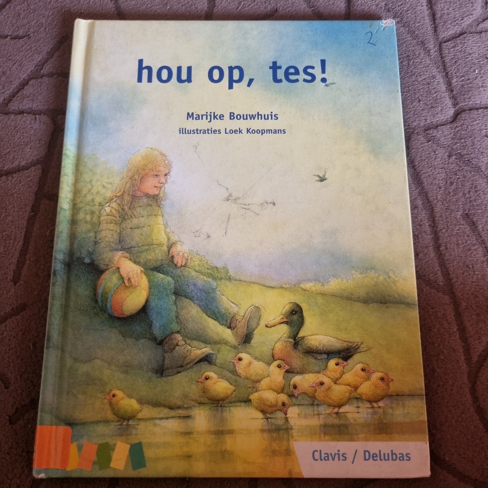Hou op, Tes! - Marijke Bouwhuis (Leesparade AVI 2), Ophalen of Verzenden, Zo goed als nieuw, Marijke Bouwhuis, Fictie algemeen