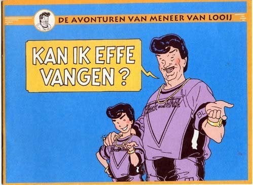 De Avonturen van Meneer van Looij - Reaal Verzekering, Ophalen of Verzenden, Overige typen