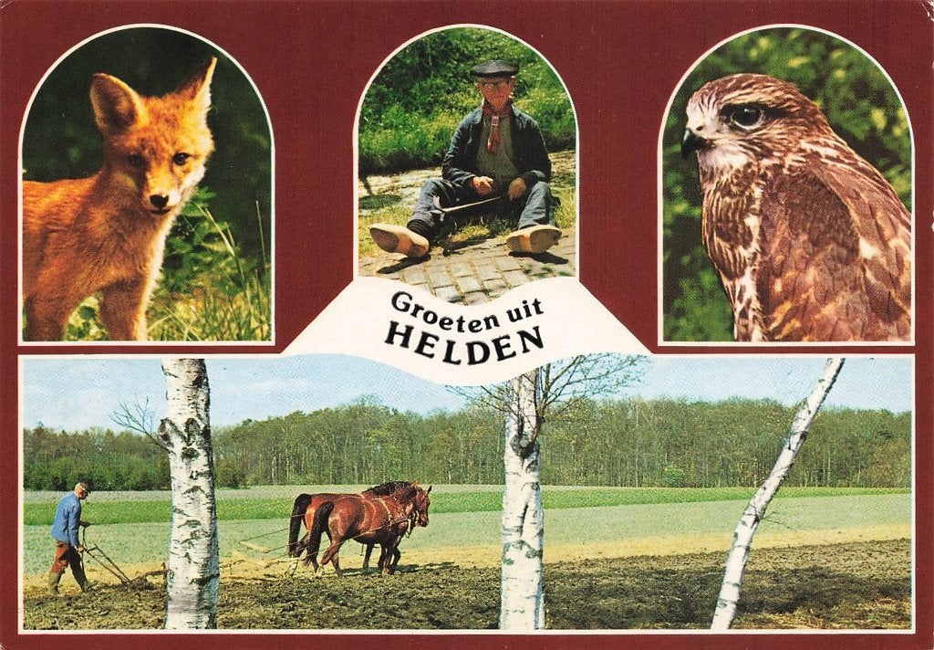 Groeten uit Helden, Ophalen of Verzenden, 1980 tot heden, Gelopen, Limburg
