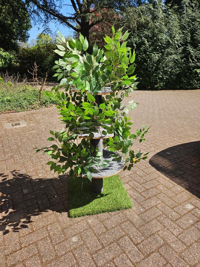 krabpaal boom, Ophalen, Gebruikt, Krabpaal