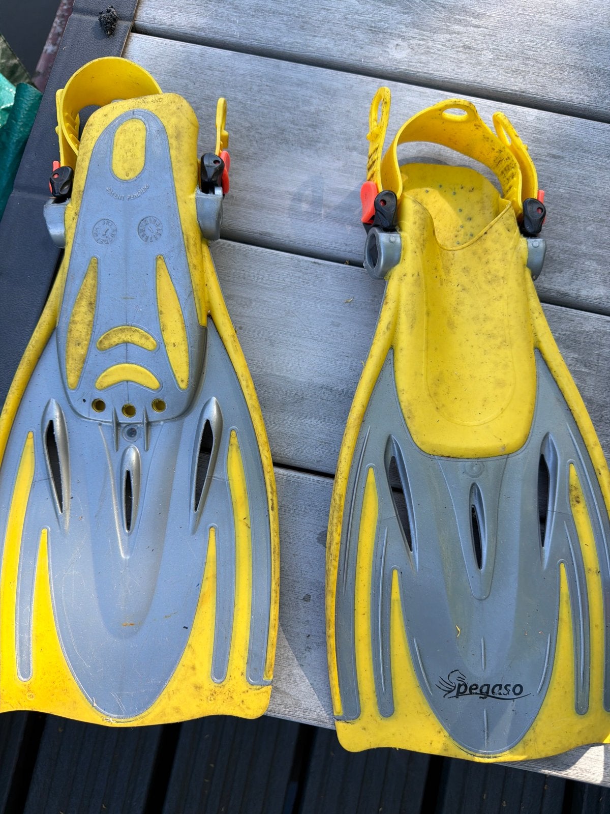 Zwemvliezen / Duikvliezen - Pegaso, Watersport en Boten, Duiken, Ophalen, Gebruikt, Zwem- of Duikvliezen