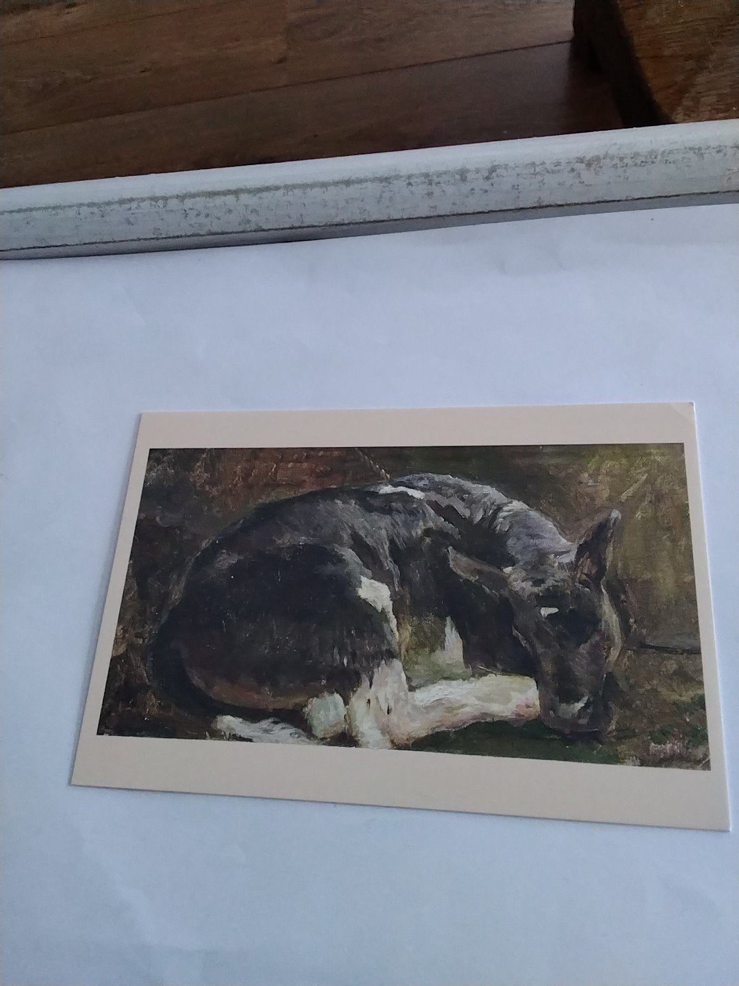 Willem de Zwart - Slapend kalf - Ansichtkaart, Ophalen of Verzenden, 1980 tot heden, Ongelopen
