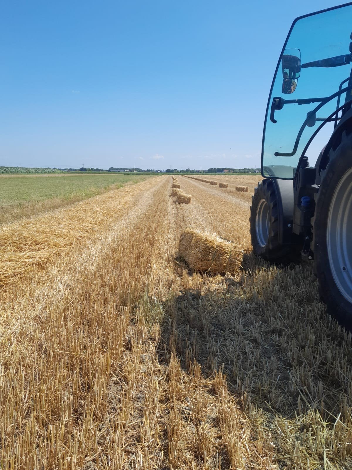 kleine balen stro, Dieren en Toebehoren, Ophalen of Verzenden