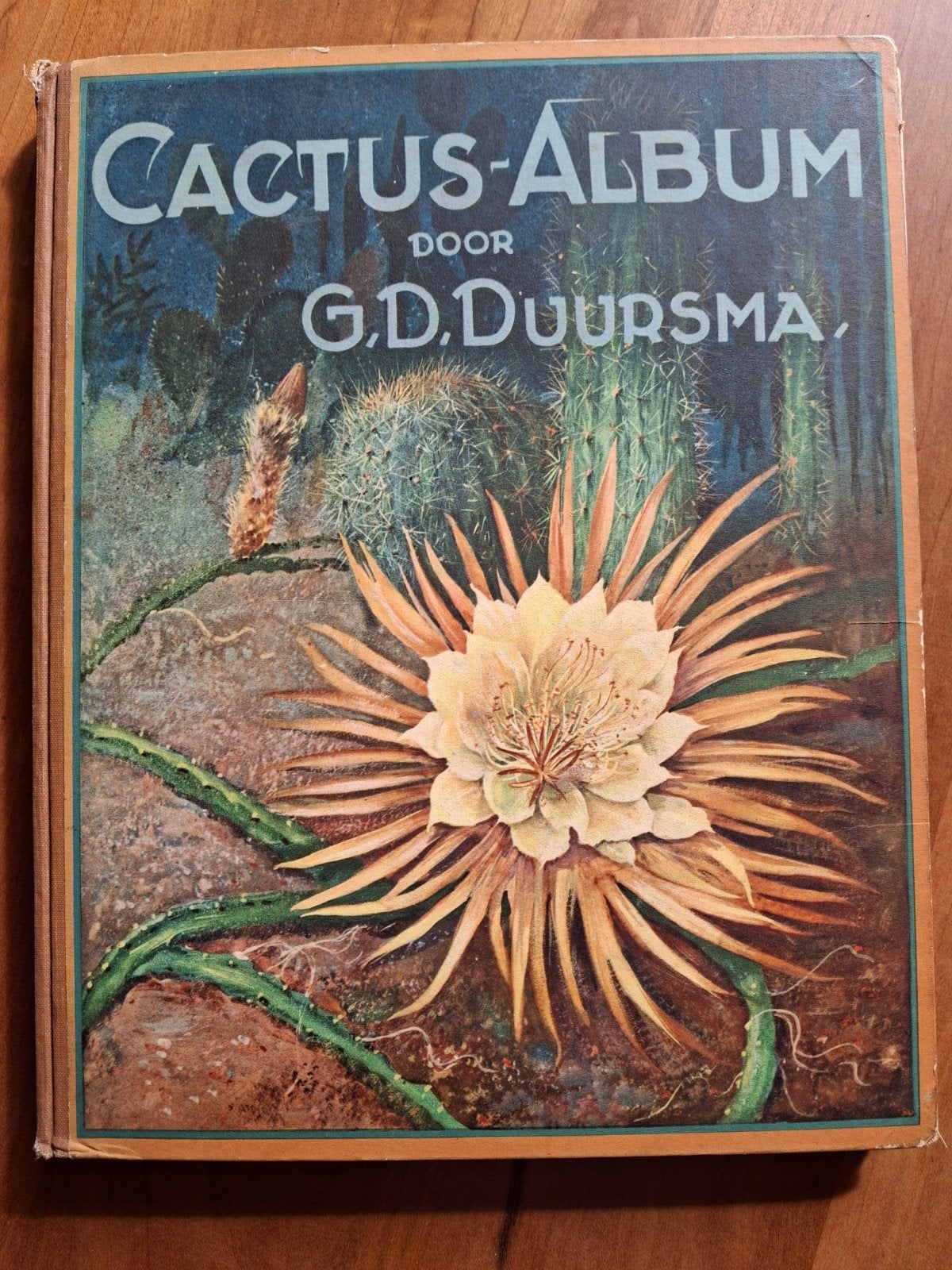 cactus-album plaatjesalbum, Boeken, Ophalen of Verzenden, Gelezen