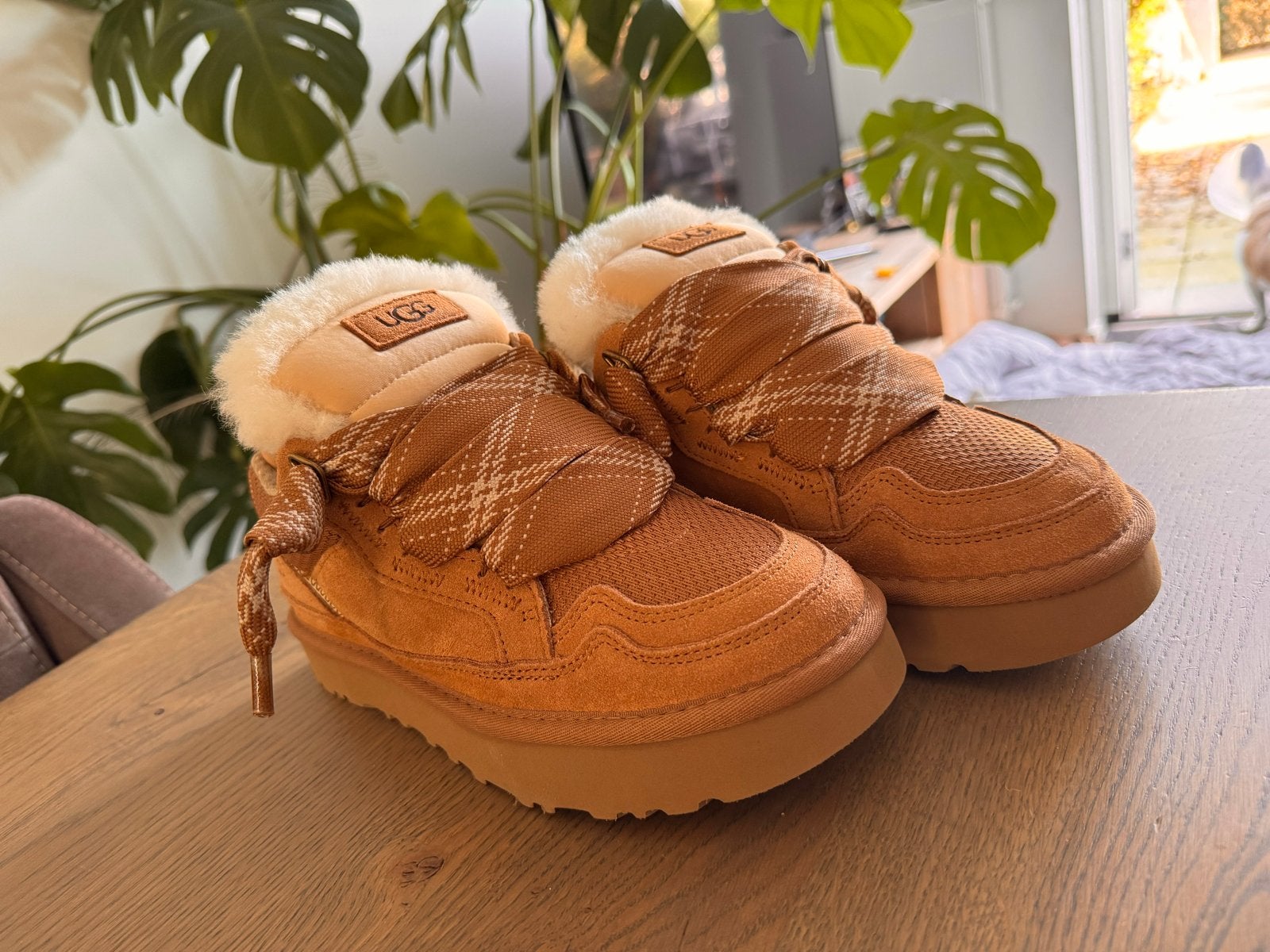 UGG Lowmel Chestnut - Nieuw, Maat 38, Kleding | Dames, Bruin, Nieuw, Ophalen of Verzenden, Sneakers of Gympen