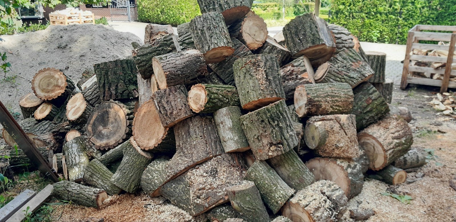 populier blokken, Tuin en Terras, 3 tot 6 m³, Ophalen, Blokken