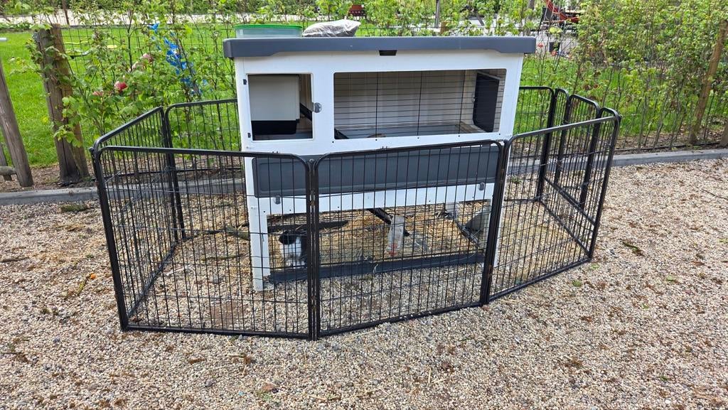 Konijnenhok met konijn, Dieren en Toebehoren, Knaagdieren en Konijnen | Hokken en Kooien, Ophalen, 90 cm of meer, Konijn, Hok