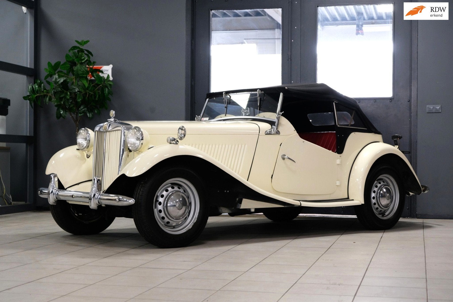 MG TD 1952 volledig gerestaureerd, Achterwielaandrijving, Cabriolet, Wit, Leder
